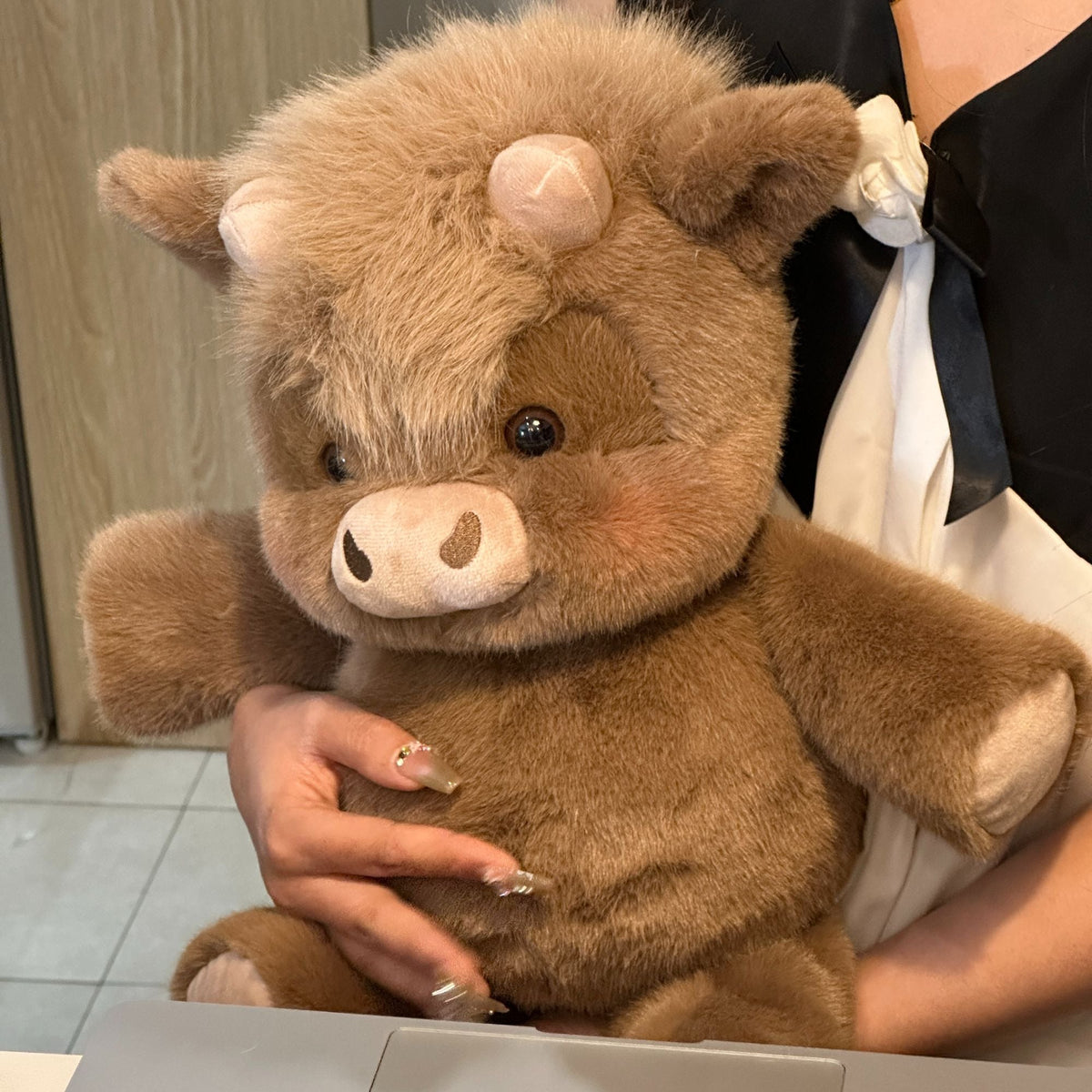 Cocoa Highland cow plushie, actual product photograph.
